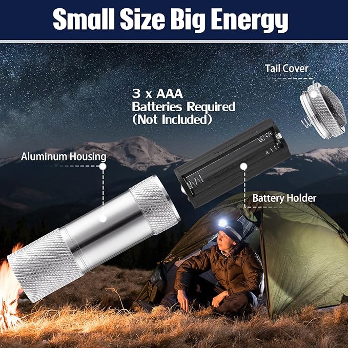 VIHOSE 12 Pcs Mini Flashlights Bulk, Bright Aluminum Handheld Flash Lights with Lanyard, Small LED Flashlights for Night Reading Emergency Hurricane Camping Hiking Party Favors(Silver)