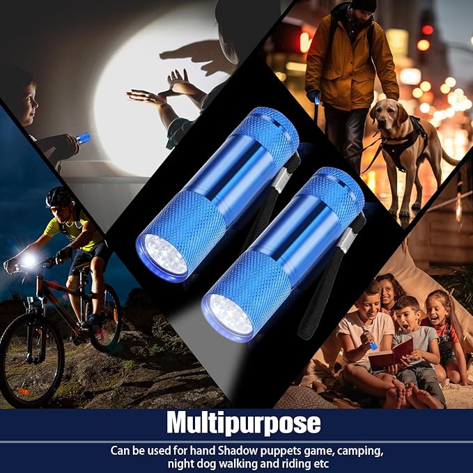 VIHOSE 12 Pcs Mini Flashlights Bulk, Bright Aluminum Handheld Flash Lights with Lanyard, Small LED Flashlights for Night Reading Emergency Hurricane Camping Hiking Party Favors(Blue)
