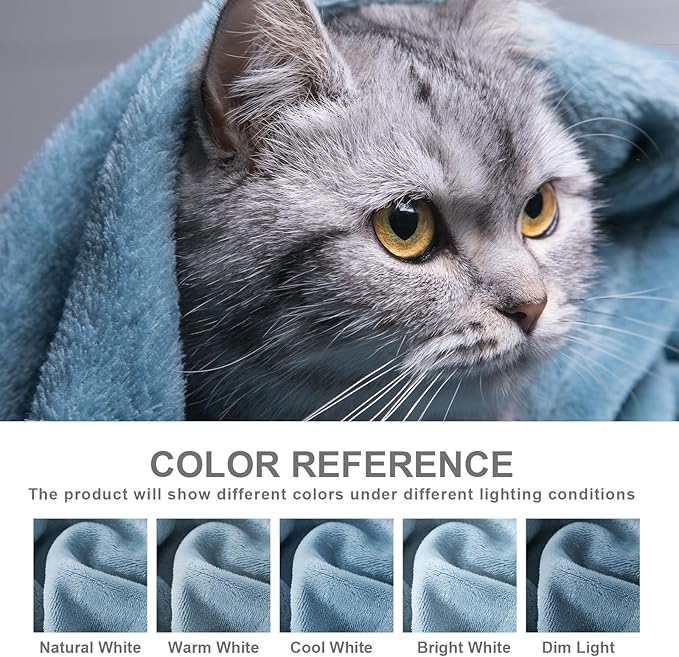 Hansleep Fleece Queen Blanket for Bed Fleece Washed Blue, Queen Size Super Soft Flannel Fuzzy Plush Cozy Blanket for All Seasons, Washed Blue, Queen 90x90 Inches