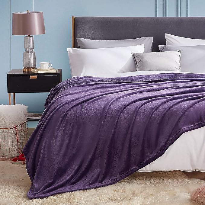 Hansleep Fleece Queen Blanket for Bed Fleece Purple, Queen Size Super Soft Flannel Fuzzy Plush Cozy Blanket for All Seasons, Purple, Queen 90x90 Inches