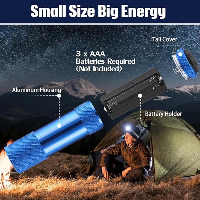 VIHOSE 12 Pcs Mini Flashlights Bulk, Bright Aluminum Handheld Flash Lights with Lanyard, Small LED Flashlights for Night Reading Emergency Hurricane Camping Hiking Party Favors(Blue)