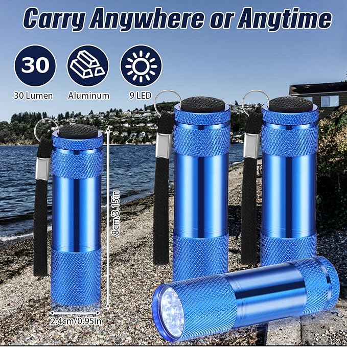 VIHOSE 12 Pcs Mini Flashlights Bulk, Bright Aluminum Handheld Flash Lights with Lanyard, Small LED Flashlights for Night Reading Emergency Hurricane Camping Hiking Party Favors(Blue)