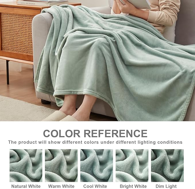 Hansleep Fleece Celadon Full Blanket, Super Soft Flannel Fuzzy Plush Cozy Blanket for All Seasons, Celadon, Full 84x90 Inches