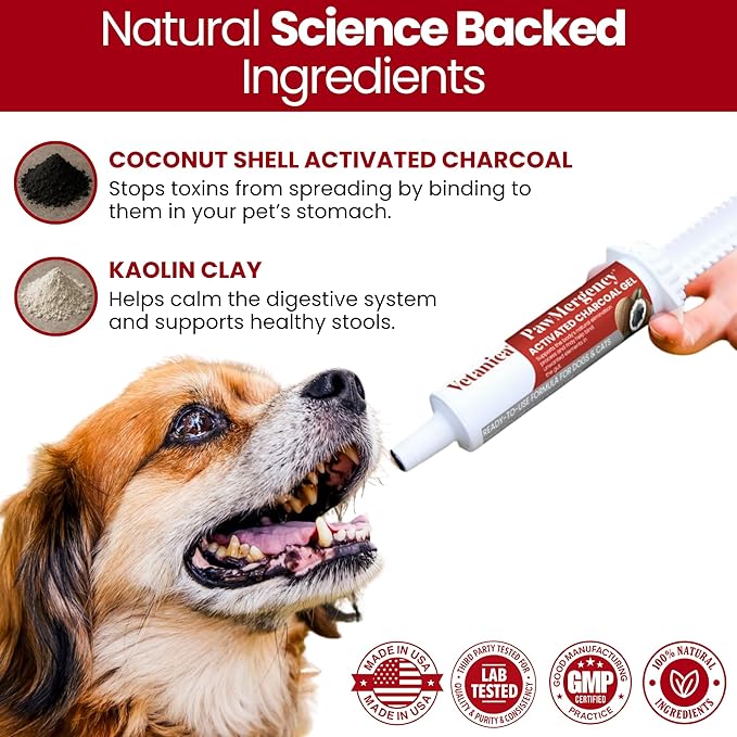 PawMergency – Activated Charcoal First Aid Kit Emergency Rescue for Dogs, Cats, Puppy & Pet Poison Kit, Camping Survival Remedy Essential,Oral Anti Diarrhea Digestive Paste Ready Absorb Toxins 1 Pack