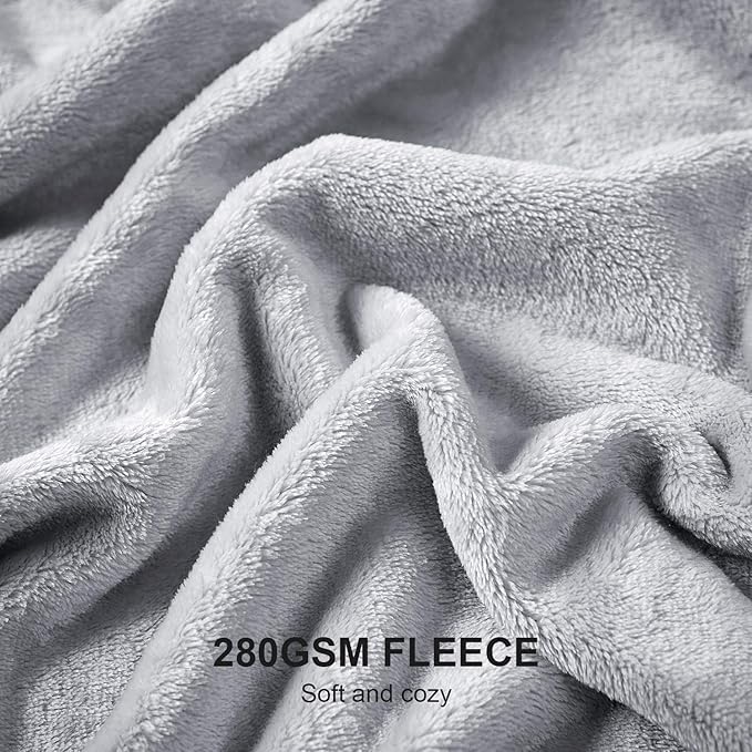 Hansleep Fleece Light Grey Queen Blanket, Super Soft Flannel Fuzzy Plush Cozy Blanket for All Seasons, Light Grey, Queen 90x90 Inches