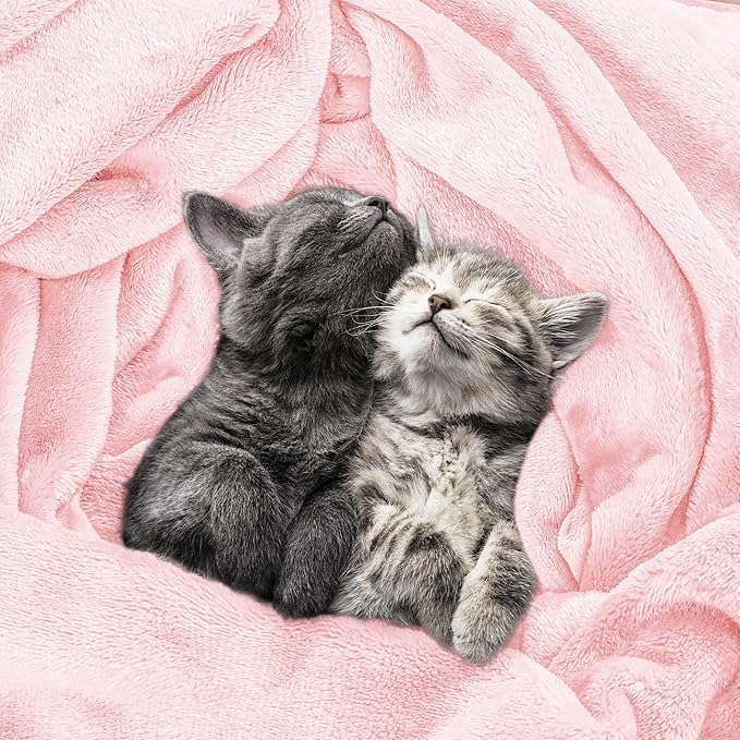 Utopia Bedding Fleece Blanket Queen Size Pink 300GSM Luxury Fuzzy Soft Anti-Static Microfiber Bed Blanket (90x90 Inch)