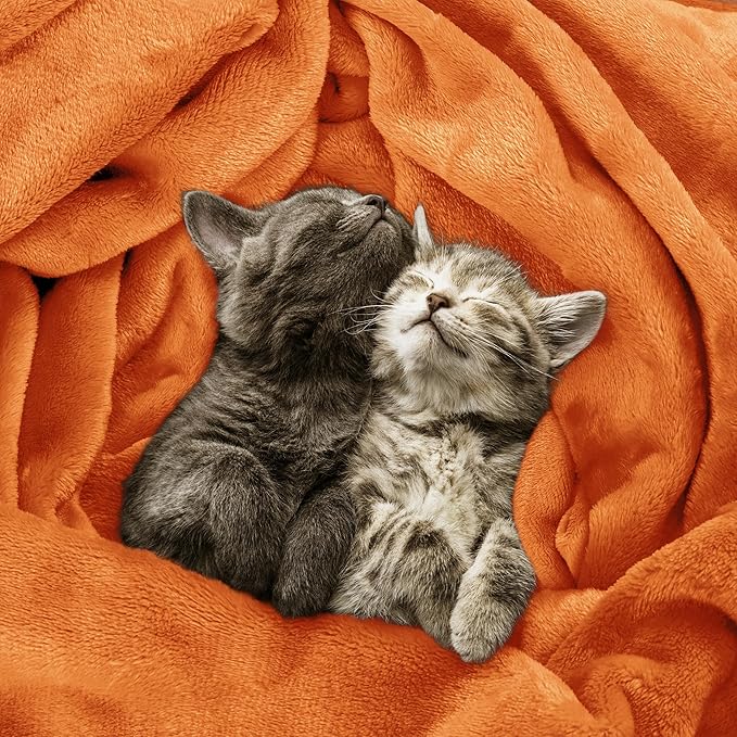 Utopia Bedding Fleece Blanket Queen Size Burnt Orange 300GSM Luxury Fuzzy Soft Anti-Static Microfiber Bed Blanket (90x90 Inch)